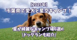 星が綺麗にみえるキャンプ場　愛犬　千葉